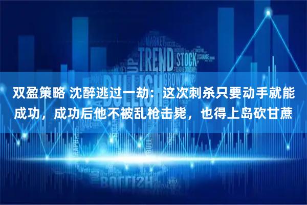 双盈策略 沈醉逃过一劫：这次刺杀只要动手就能成功，成功后他不被乱枪击毙，也得上岛砍甘蔗