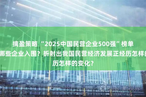摛盈策略 “2025中国民营企业500强”榜单发布，哪些企业入围？折射出我国民营经济发展正经历怎样的变化？