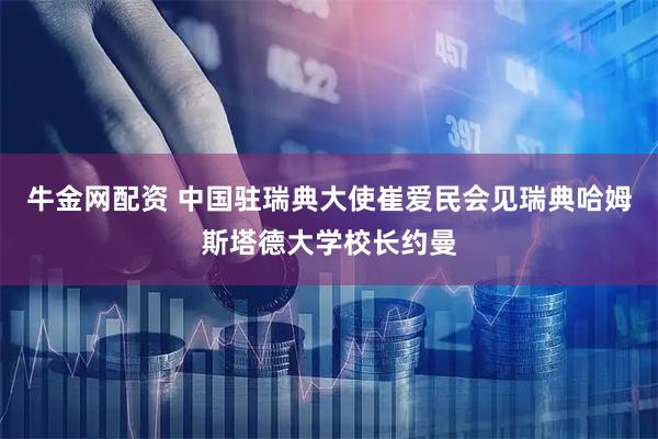 牛金网配资 中国驻瑞典大使崔爱民会见瑞典哈姆斯塔德大学校长约曼