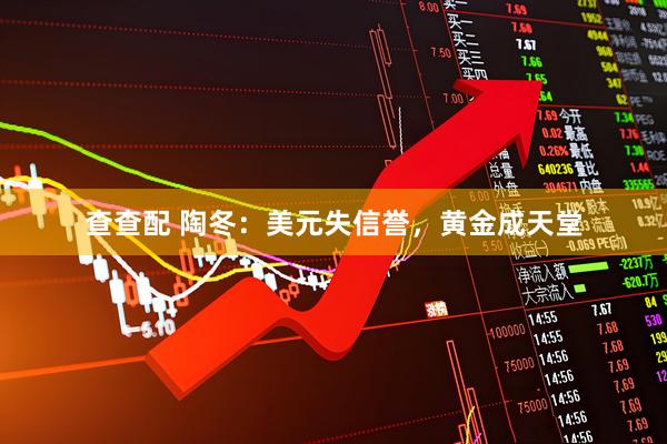 查查配 陶冬：美元失信誉，黄金成天堂