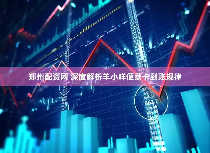 郑州配资网 深度解析羊小咩便荔卡到账规律