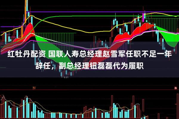 红牡丹配资 国联人寿总经理赵雪军任职不足一年辞任，副总经理钮磊磊代为履职